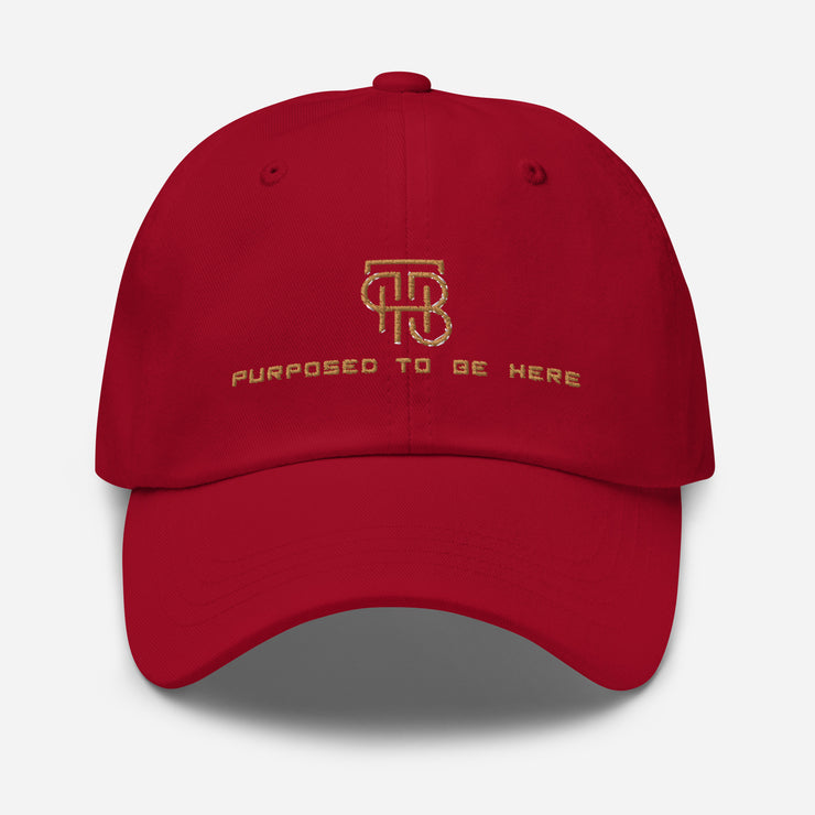 Purposed To Be Here Dad hat