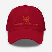 Purposed To Be Here Dad hat