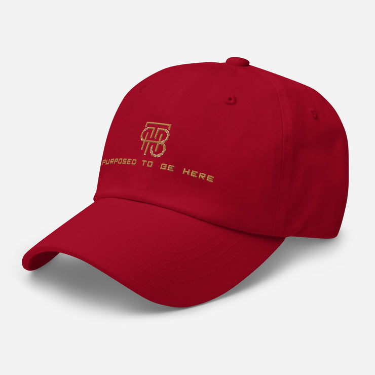 Purposed To Be Here Dad hat