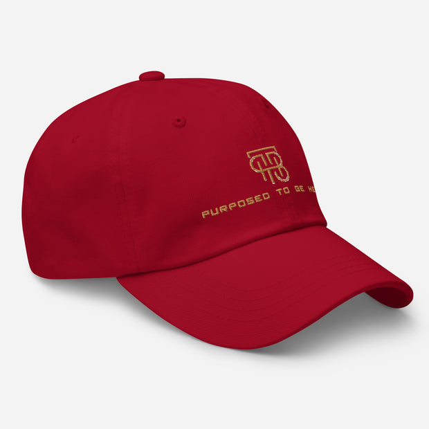 Purposed To Be Here Dad hat