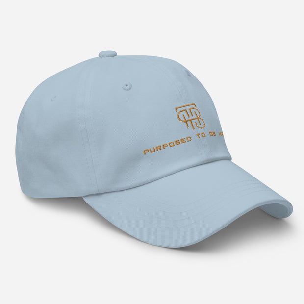 Purposed To Be Here Dad hat