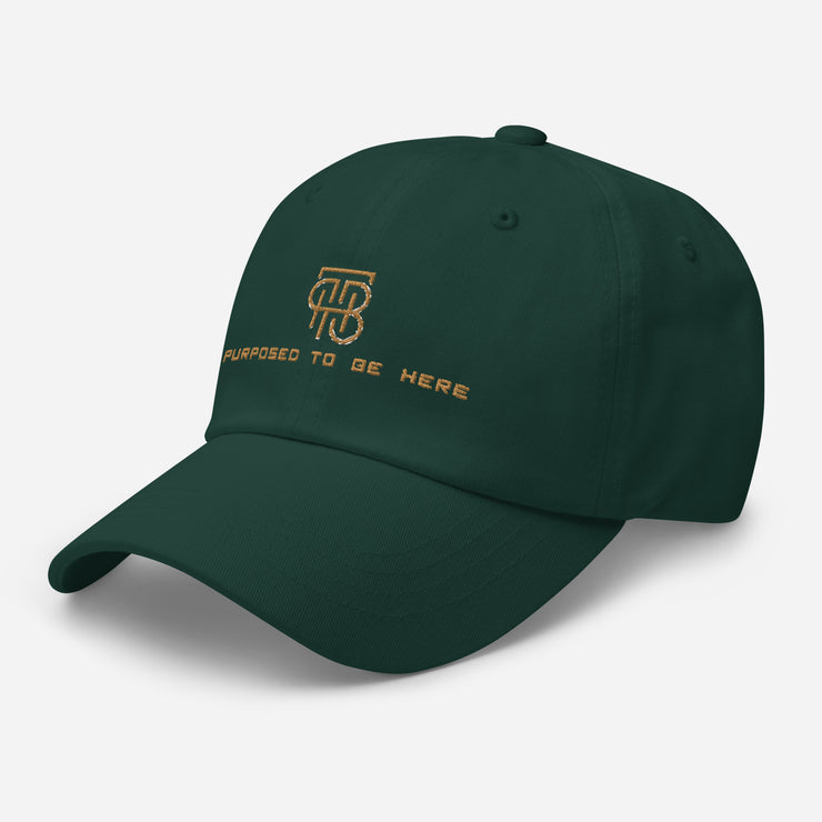 Purposed To Be Here Dad hat