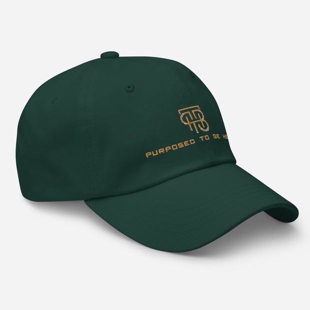 Purposed To Be Here Dad hat