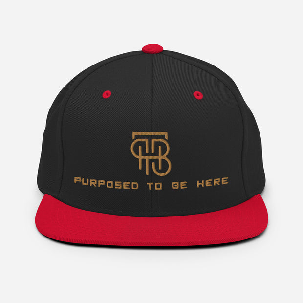 Purposed To Be Here Snapback Hat