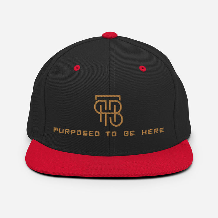 Purposed To Be Here Snapback Hat