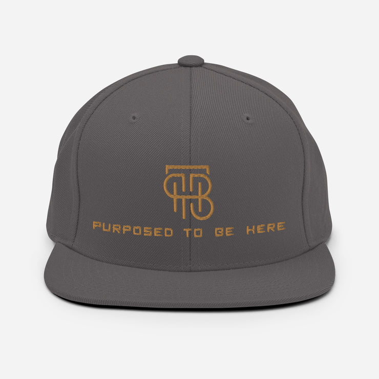 Purposed To Be Here Snapback Hat