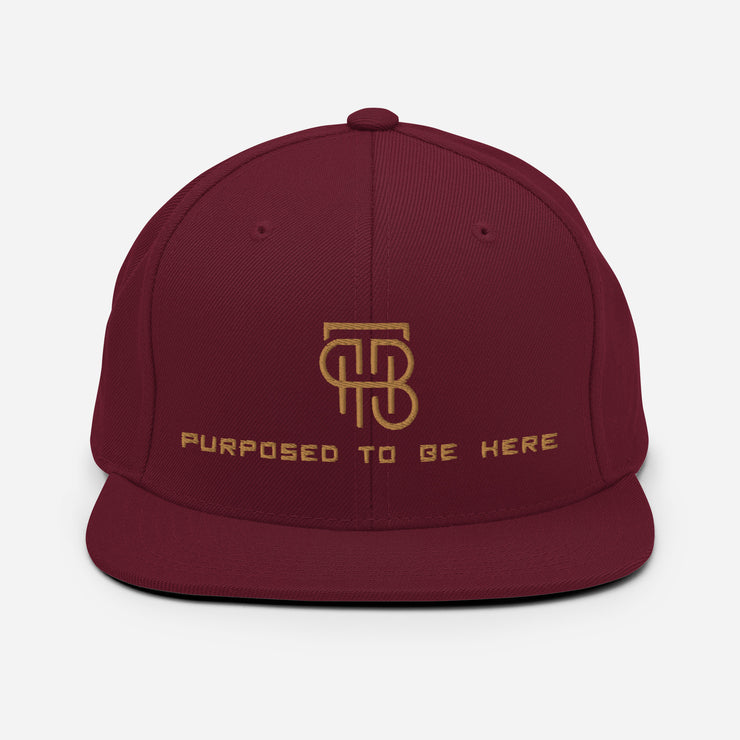 Purposed To Be Here Snapback Hat