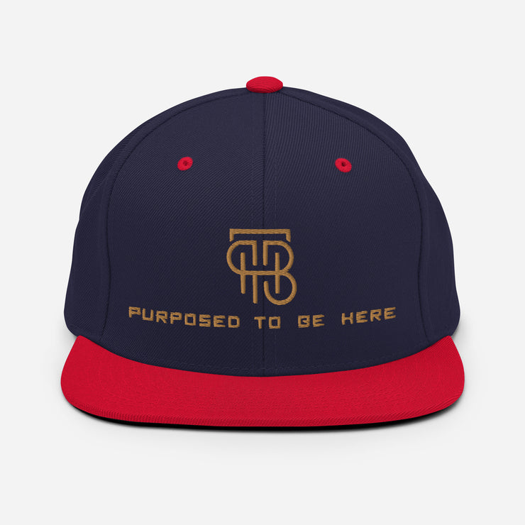 Purposed To Be Here Snapback Hat