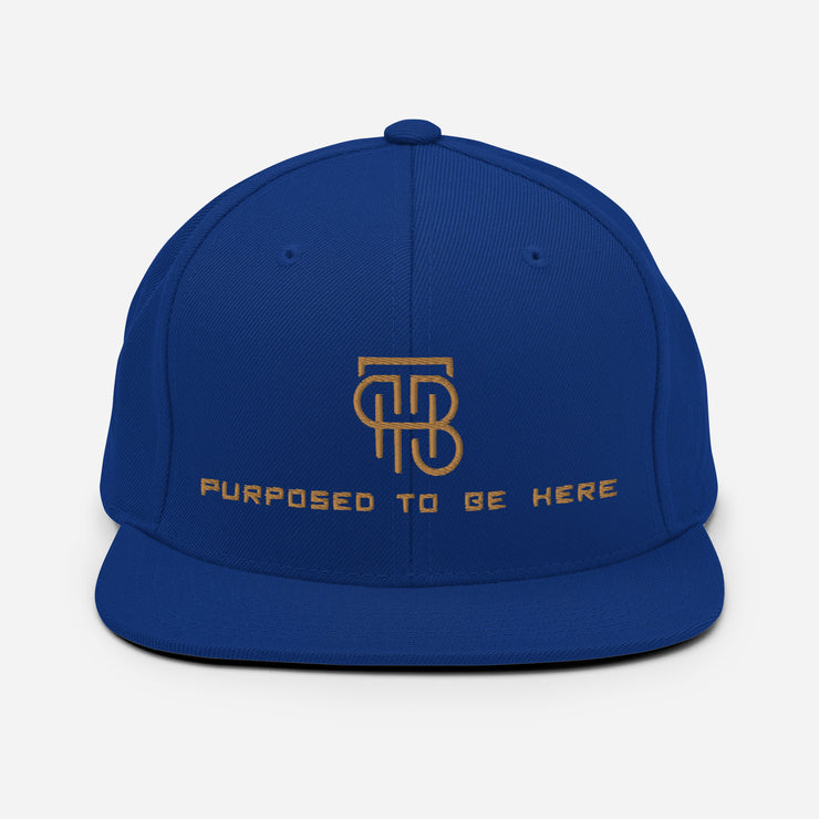 Purposed To Be Here Snapback Hat