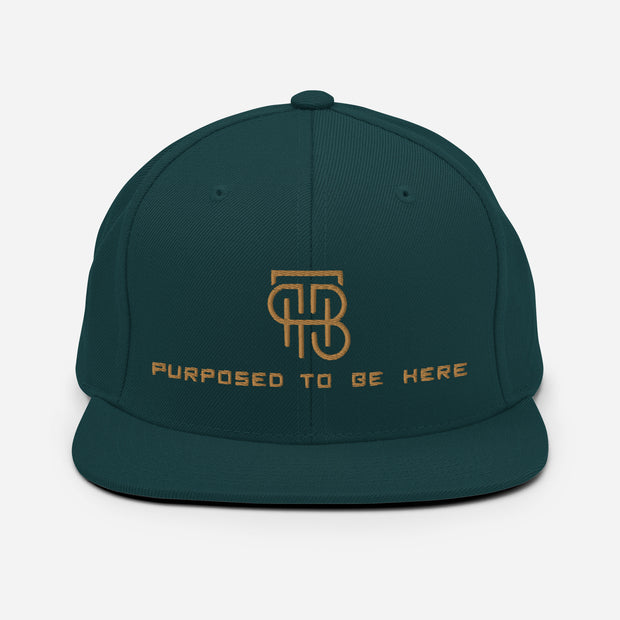 Purposed To Be Here Snapback Hat