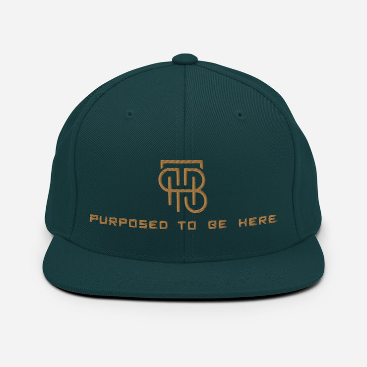 Purposed To Be Here Snapback Hat
