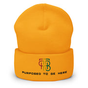 Purposed To Be Here Cuffed Beanie