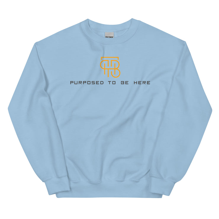 Purposed To Be Here Unisex Sweatshirt
