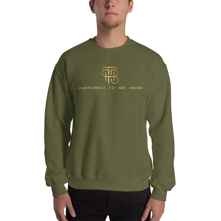 Purposed To Be Here Unisex Sweatshirt
