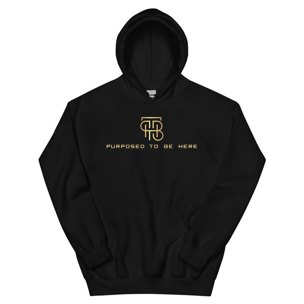 Purposed To Be Here Unisex Hoodie