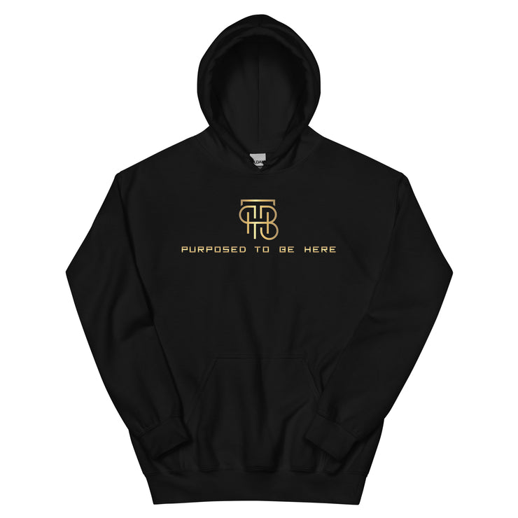 Purposed To Be Here Unisex Hoodie