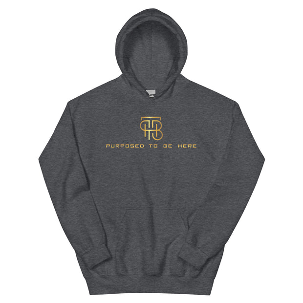 Purposed To Be Here Unisex Hoodie