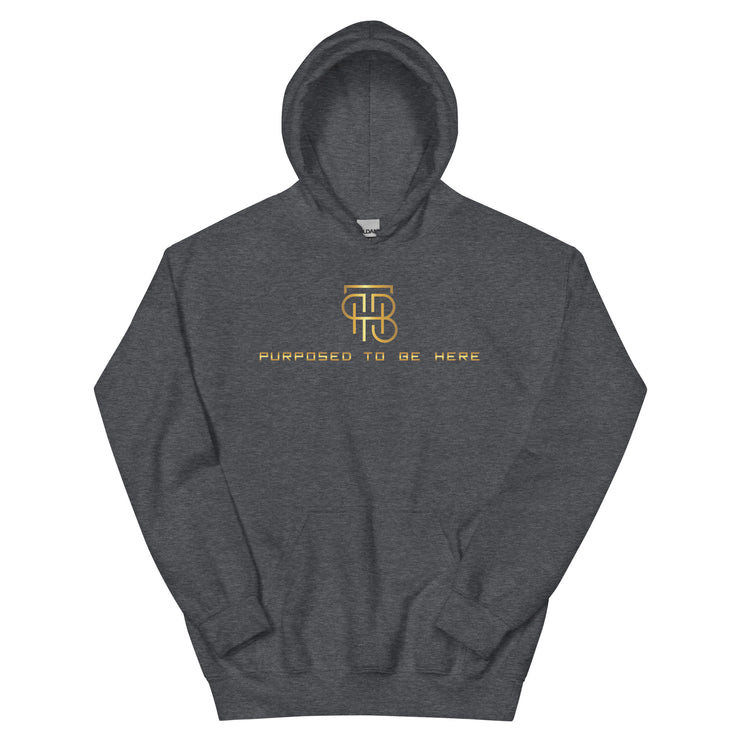 Purposed To Be Here Unisex Hoodie