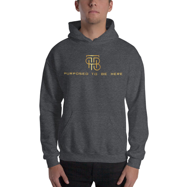 Purposed To Be Here Unisex Hoodie