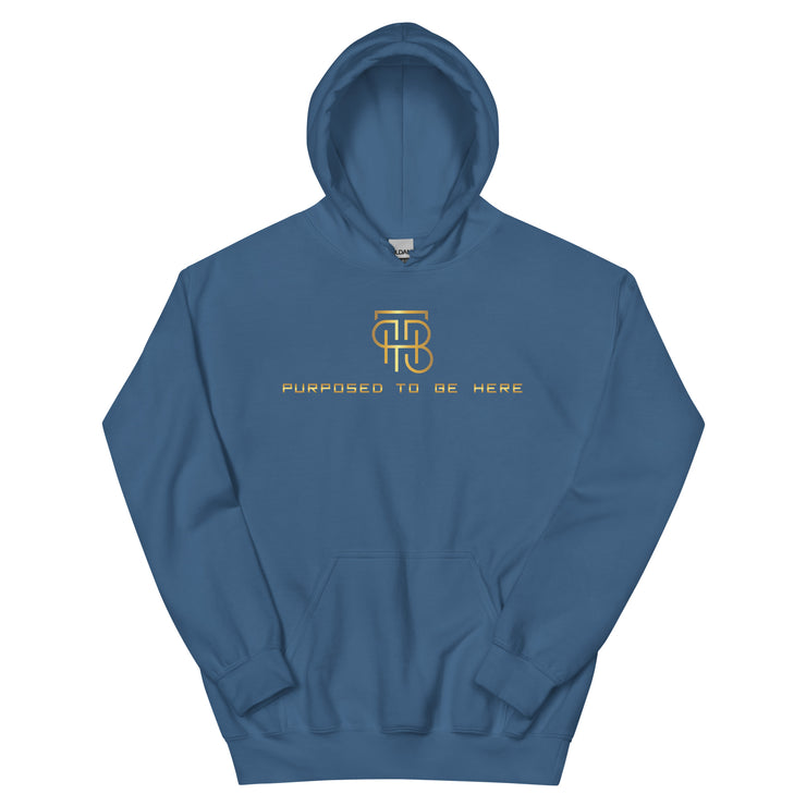 Purposed To Be Here Unisex Hoodie