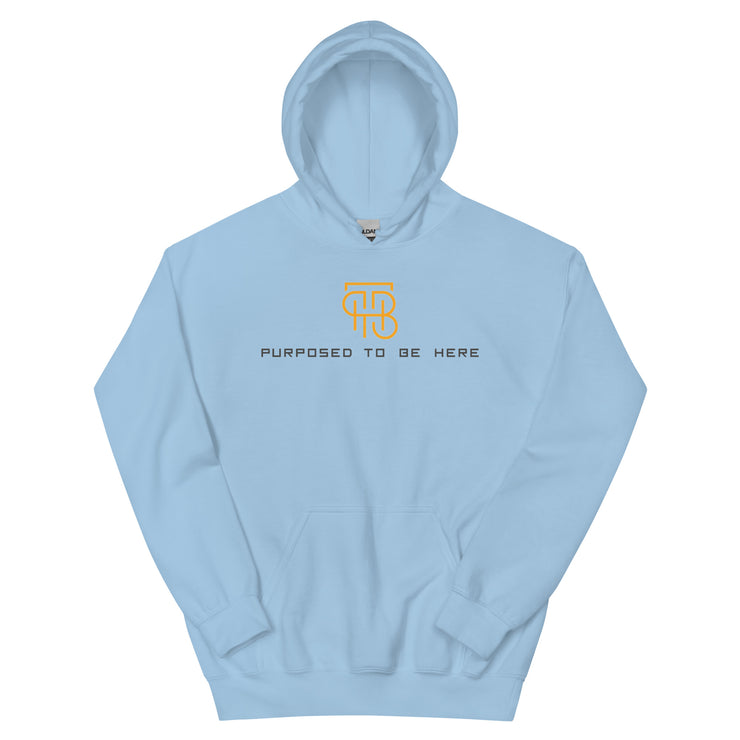 Purposed To Be Here Unisex Hoodie