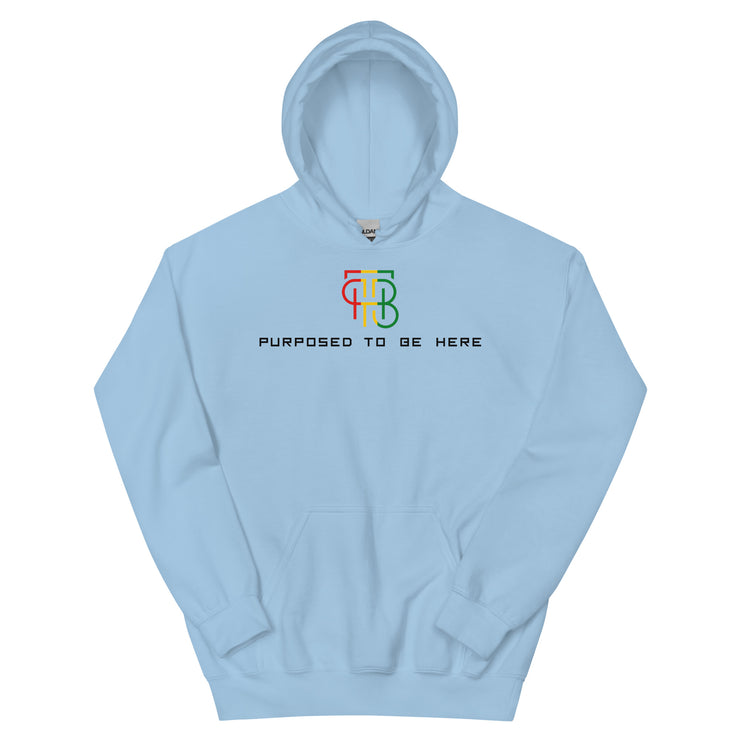 Purposed To Be Here Unisex Hoodie
