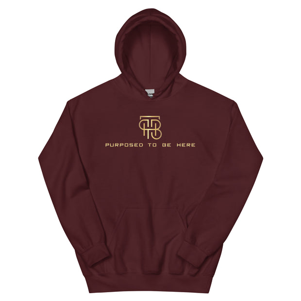 Purposed To Be Here Unisex Hoodie